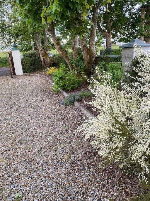 Breathnach Cottage Annex Knockleagha Ballina F26 D7E2 Bagian luar foto