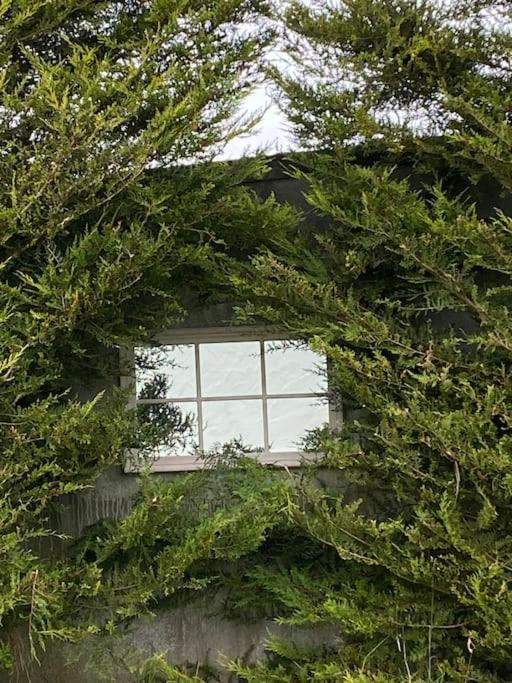 Breathnach Cottage Annex Knockleagha Ballina F26 D7E2 Bagian luar foto